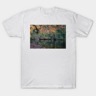 Autumn is Coming T-Shirt